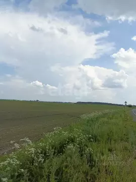 Участок в Брянская область, Брянский район, Добрунское с/пос, с. ...