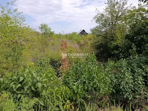 Участок в Ростовская область, Новочеркасск ул. Медовая, 70 (648.0 ...