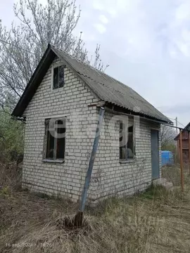 Дом в Брянская область, Брянский район, Снежское с/пос, с. Толмачево, ...