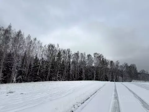 Участок в Московская область, Пушкинский городской округ, ...