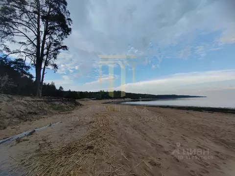 Участок в Ленинградская область, Выборгский район, Полянское с/пос, ...