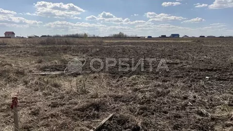 Участок в Тюменская область, Тюменский муниципальный округ, с. Борки ...