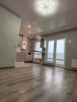 Студия Псковская область, Псковский район, Завеличенская волость, д. ...