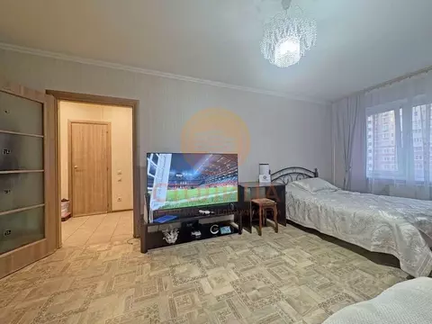 1-к кв. Московская область, Ногинск Богородский городской округ, ул. ...