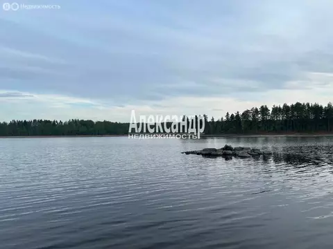 Участок в Приозерский район, Ромашкинское сельское поселение, посёлок ...