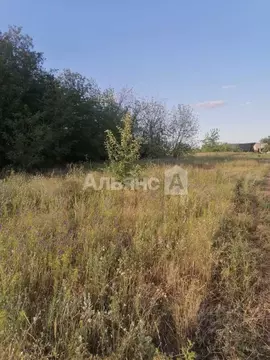 Участок в Ростовская область, Белокалитвинский район, пос. Коксовый ...