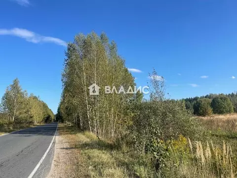 Участок в Владимирская область, Судогодский район, Лавровское ...