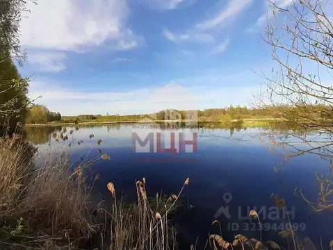Участок в Тверская область, Конаковский муниципальный округ, д. Юрьево ...