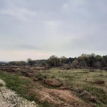 Участок в Московская область, Ступино пос. Белопесоцкий,  (19.71 сот.)