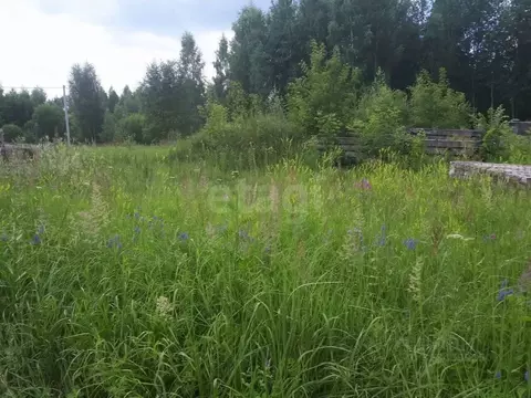 Участок в Ярославская область, Ярославский муниципальный округ, д. ...