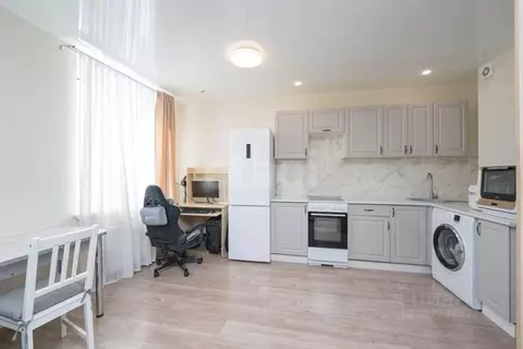 Студия Пермский край, Пермь ул. Советской Армии, 60 (31.2 м)