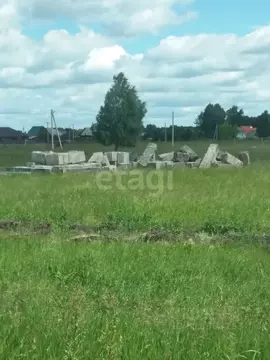 Участок в Курганская область, Шадринский муниципальный округ, с. ...