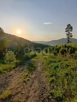 Участок в Алтай, Майминский район, Манжерокское с/пос, с. Озерное ул. ...
