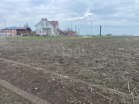 Участок в Ростовская область, Мясниковский район, с. Большие Салы ул. ...