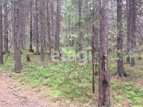 Участок в Свердловская область, Невьянский муниципальный округ, с. ...