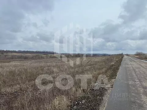 Участок в Воронежская область, Семилукский район, Медвеженское с/пос, ...