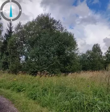 Участок в Московская область, Можайский муниципальный округ, д. ...