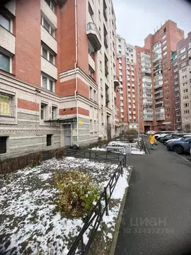 3-к кв. Санкт-Петербург ул. Савушкина, 133к1 (108.4 м)