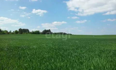 Участок в Башкортостан, Уфимский район, Миловский сельсовет, Мечта СНТ ...