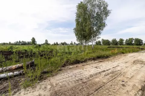 Участок в Тюменская область, Тюмень Лаванда садовое товарищество,  ...