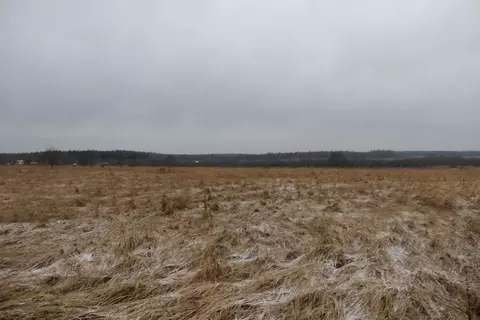 Участок в Московская область, Шаховская муниципальный округ, д. Дор  ...