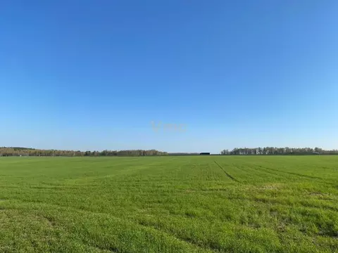 Участок в Московская область, Коломна городской округ, с. Непецино  ...