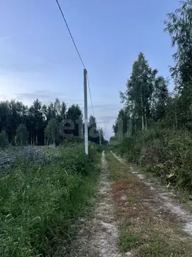 Участок в Тюменская область, Нижнетавдинский муниципальный округ, ...