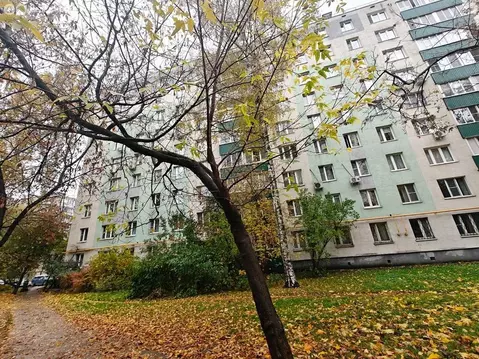 Квартира-студия: Москва, Зелёный проспект, 50 (10 м)