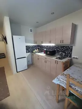 Студия Новосибирская область, Новосибирск ул. Немировича-Данченко, ...