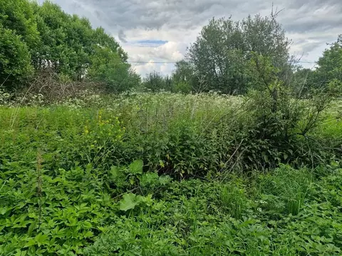 Участок в Московская область, Ступино городской округ, с. Новоселки  ...