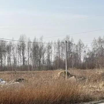 Участок в Калининградская область, Гурьевский муниципальный округ, ...