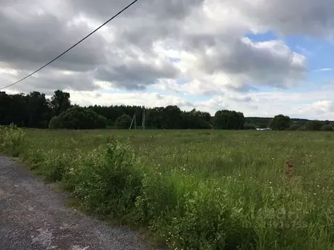 Участок в Московская область, Раменский муниципальный округ, 39 кв-л  ...