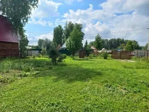 Участок в Новосибирская область, Новосибирский район, с. Толмачево ...