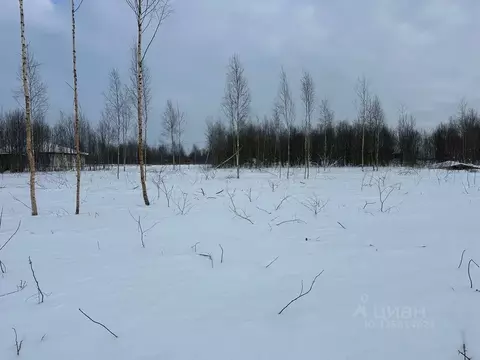 Участок в Московская область, Волоколамский муниципальный округ, ...