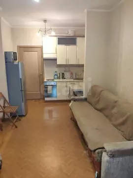 Студия Санкт-Петербург просп. Художников, 33 (27.0 м)