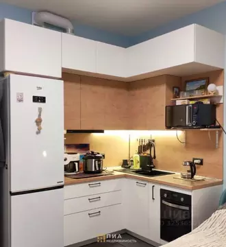 Студия Санкт-Петербург ул. Владимира Пчелинцева, 3 (24.3 м)