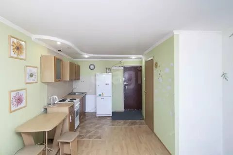 Студия Тюменская область, Тюмень ул. Республики, 237 (22.0 м)