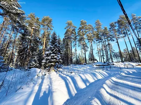 Участок в Выборгский район, Приморское городское поселение, коттеджный ...