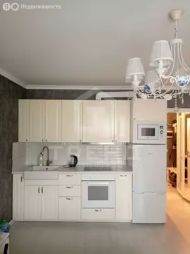 Квартира-студия: Санкт-Петербург, проспект Королёва, 62 (28 м)