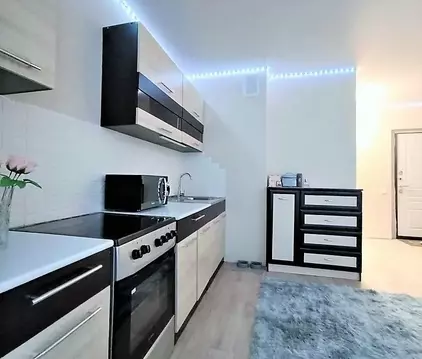 Студия Челябинская область, Челябинск ул. 2-я Эльтонская, 57 (29.5 м)