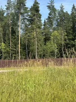 Участок в Ленинградская область, Всеволожский район, Колтушское ...