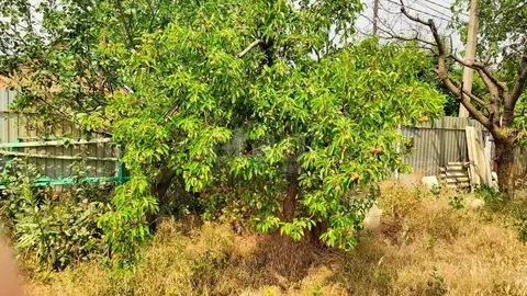 Участок в Ростовская область, Таганрог  (6.51 сот.)