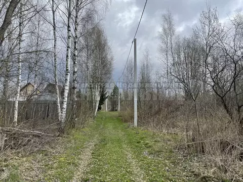 Участок в Смоленская область, Смоленский муниципальный округ, Вишенки ...