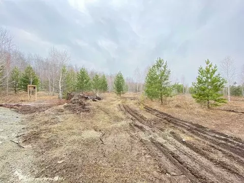 Участок в Челябинская область, Сосновский муниципальный округ, Ясное ...