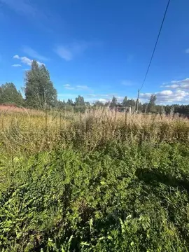 Участок в Ленинградская область, Выборгский район, Селезневское с/пос, ...