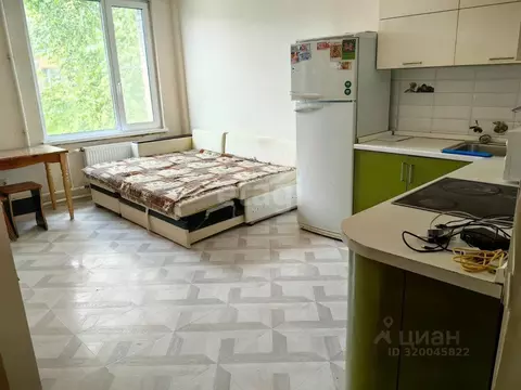 Студия Калужская область, Совхоз Боровский с/пос, д. Кабицыно, ...