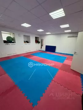 Помещение свободного назначения в Санкт-Петербург Коломенская ул., 44 ...