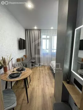 Квартира-студия: Санкт-Петербург, Среднерогатская улица, 16к4 (21.3 м)