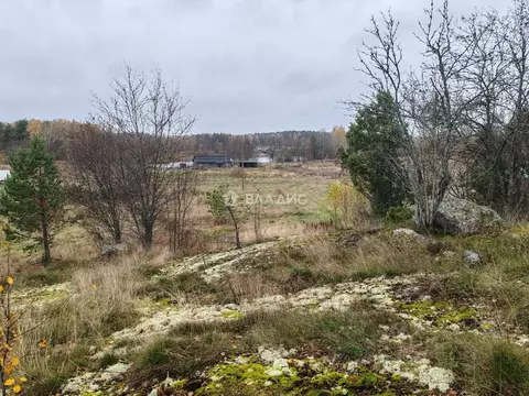 Участок в Ленинградская область, Приозерский район, Мельниковское ...