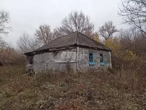 Дом в Белгородская область, Губкинский городской округ, с. Панки ул. ...